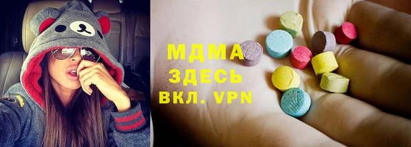 хмурый Арсеньев