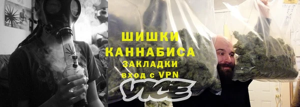 хмурый Арсеньев