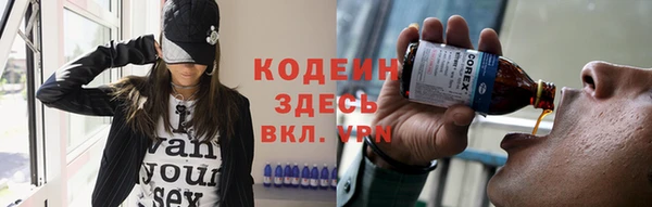 хмурый Арсеньев
