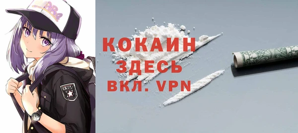 хмурый Арсеньев
