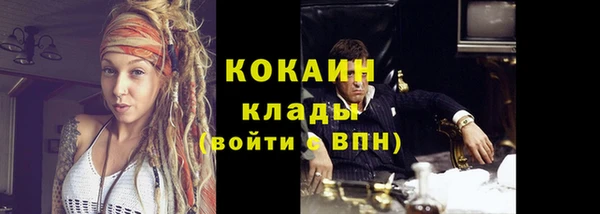 хмурый Арсеньев