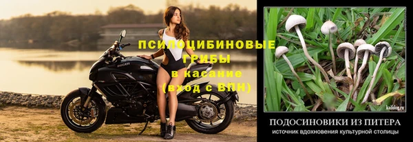 хмурый Арсеньев