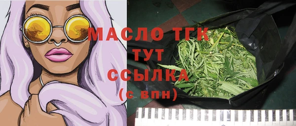 хмурый Арсеньев