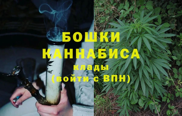 хмурый Арсеньев