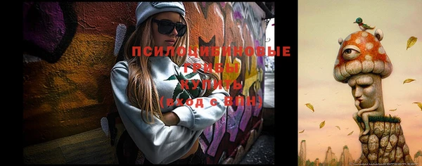 хмурый Арсеньев