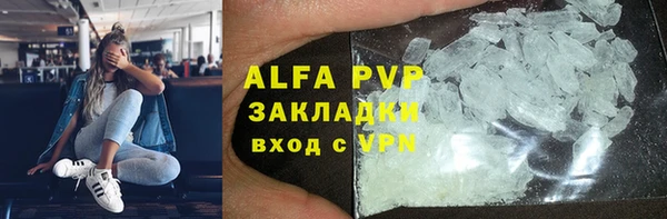 хмурый Арсеньев