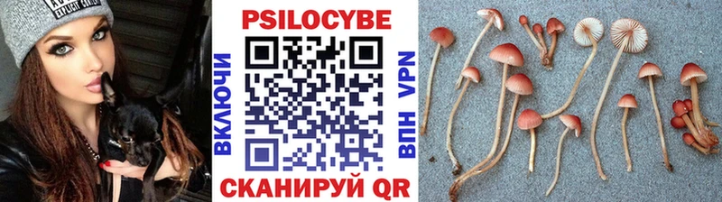 Галлюциногенные грибы Psilocybe  Рудня 